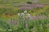 Долина реки Вулелаури, image of landscape/habitat.