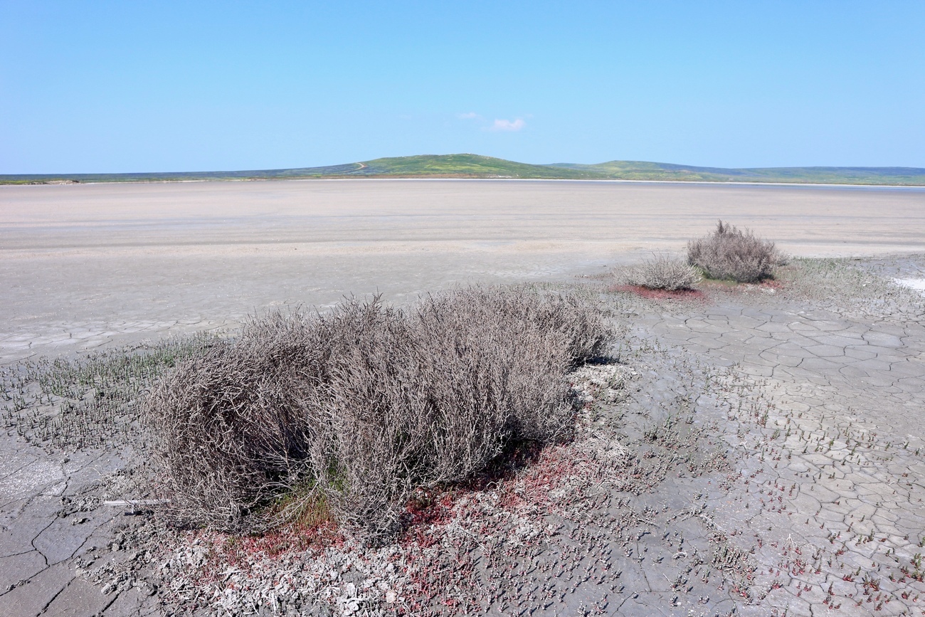 Опук, image of landscape/habitat.