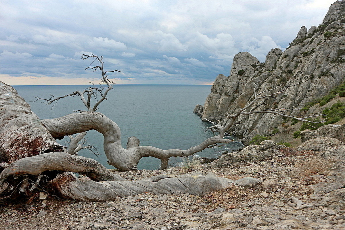 Караул-Оба, image of landscape/habitat.