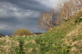 Image of landscape