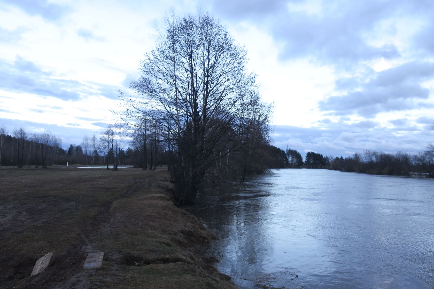 Гаврино, image of landscape/habitat.
