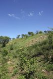 Image of landscape