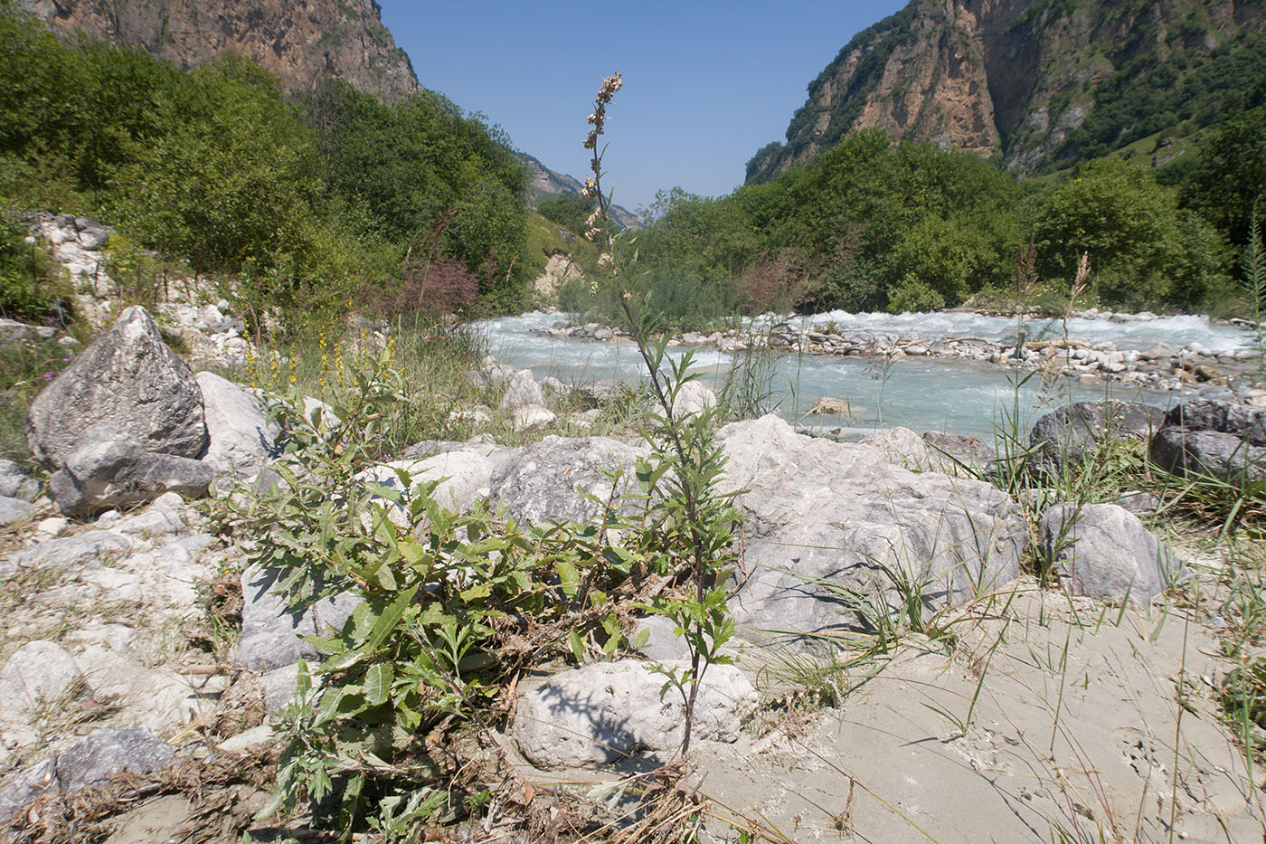 Хазнидонская теснина, image of landscape/habitat.