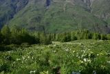 Image of landscape
