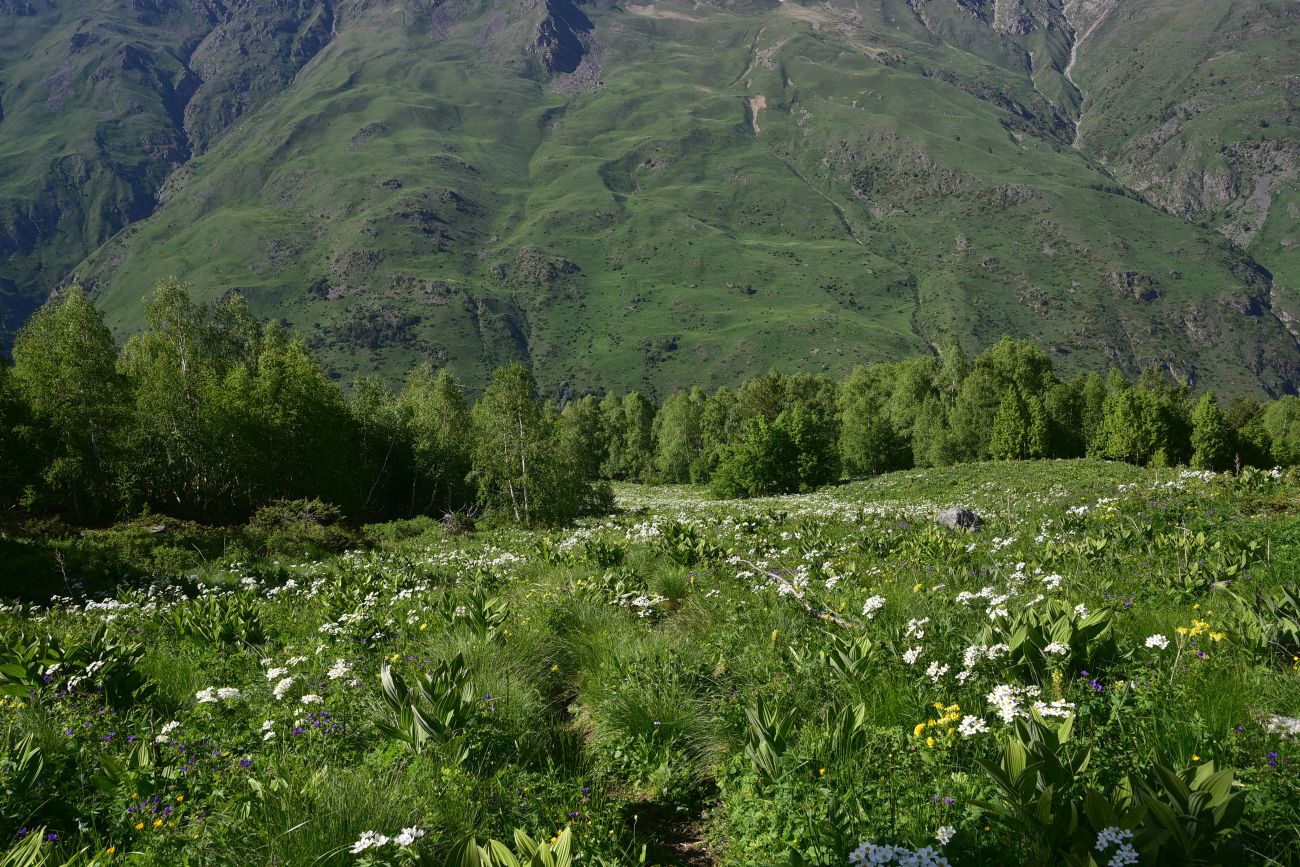 Река Когутайка, image of landscape/habitat.