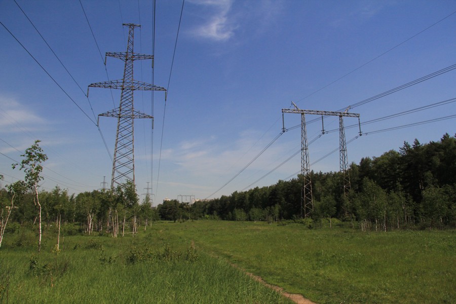 Москва Кузьминский лесопарк, image of landscape/habitat.