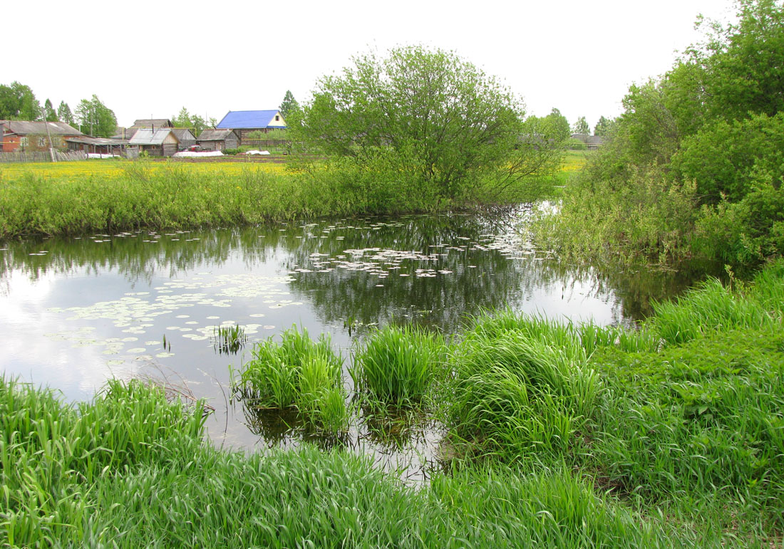 Ильд в Некоузе, image of landscape/habitat.