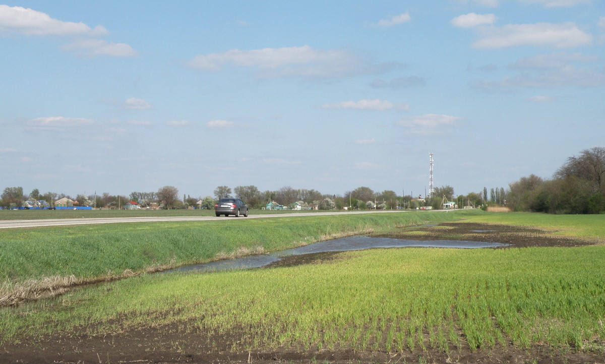 Лужа у ремзавода., image of landscape/habitat.