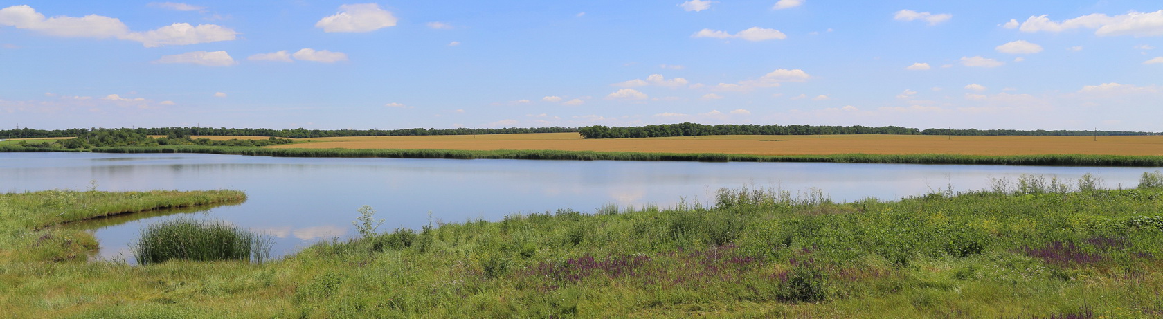 Долина реки Мокрый Самбек, image of landscape/habitat.