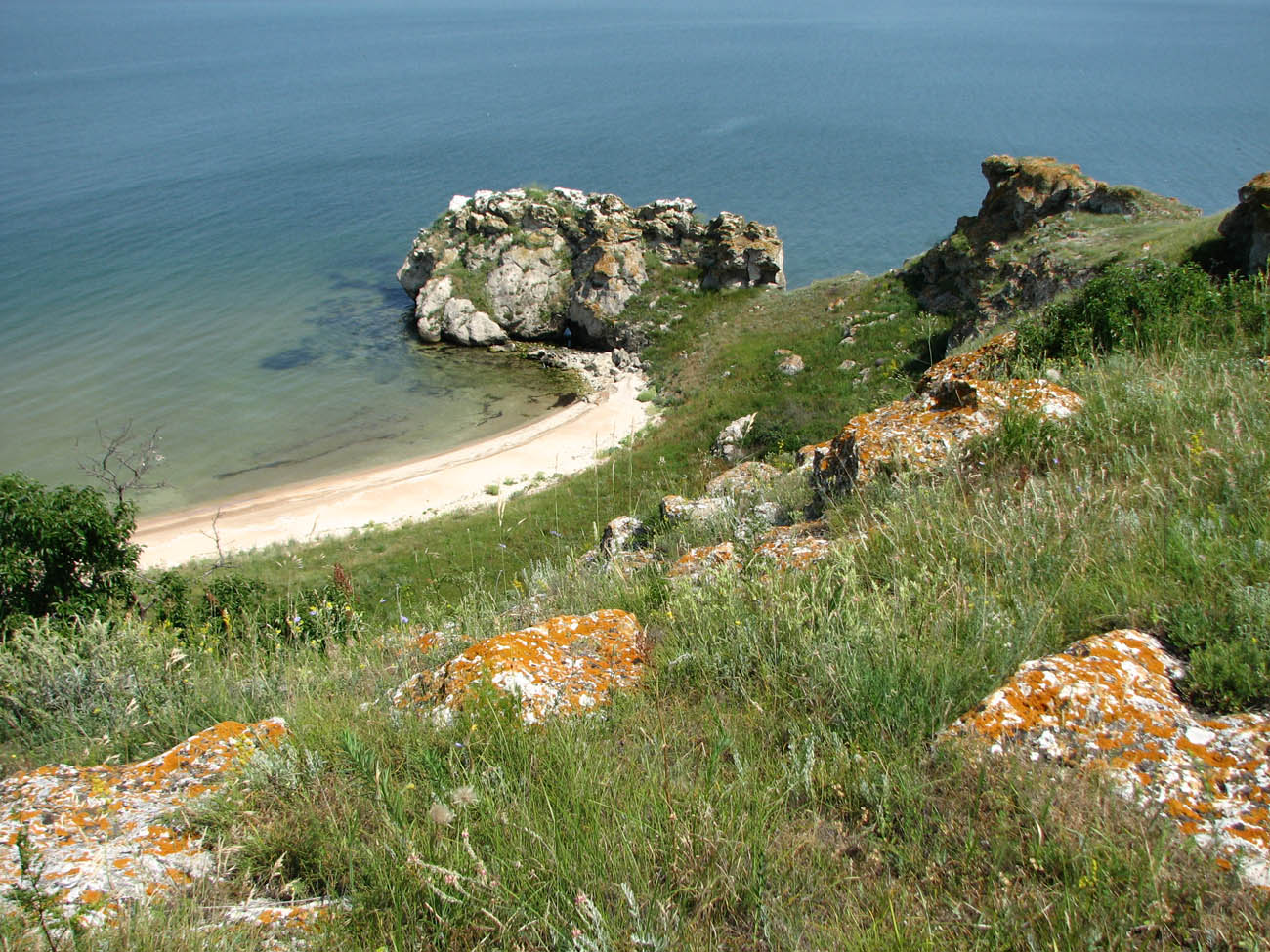 Караларская степь, image of landscape/habitat.