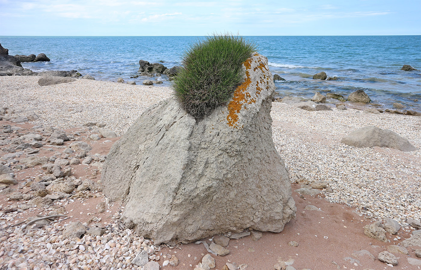 Генеральские пляжи, image of landscape/habitat.