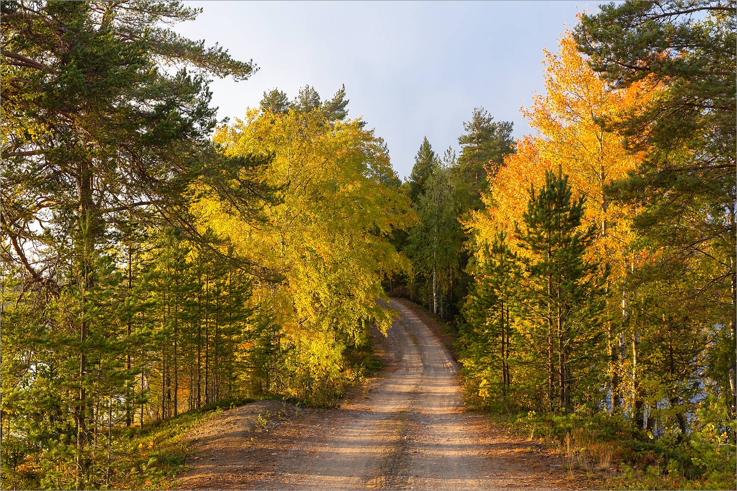 Толвоярви, image of landscape/habitat.