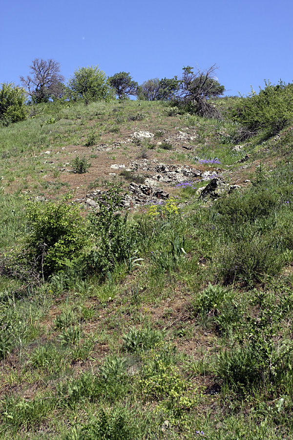 Ущелье Кенозен, изображение ландшафта.