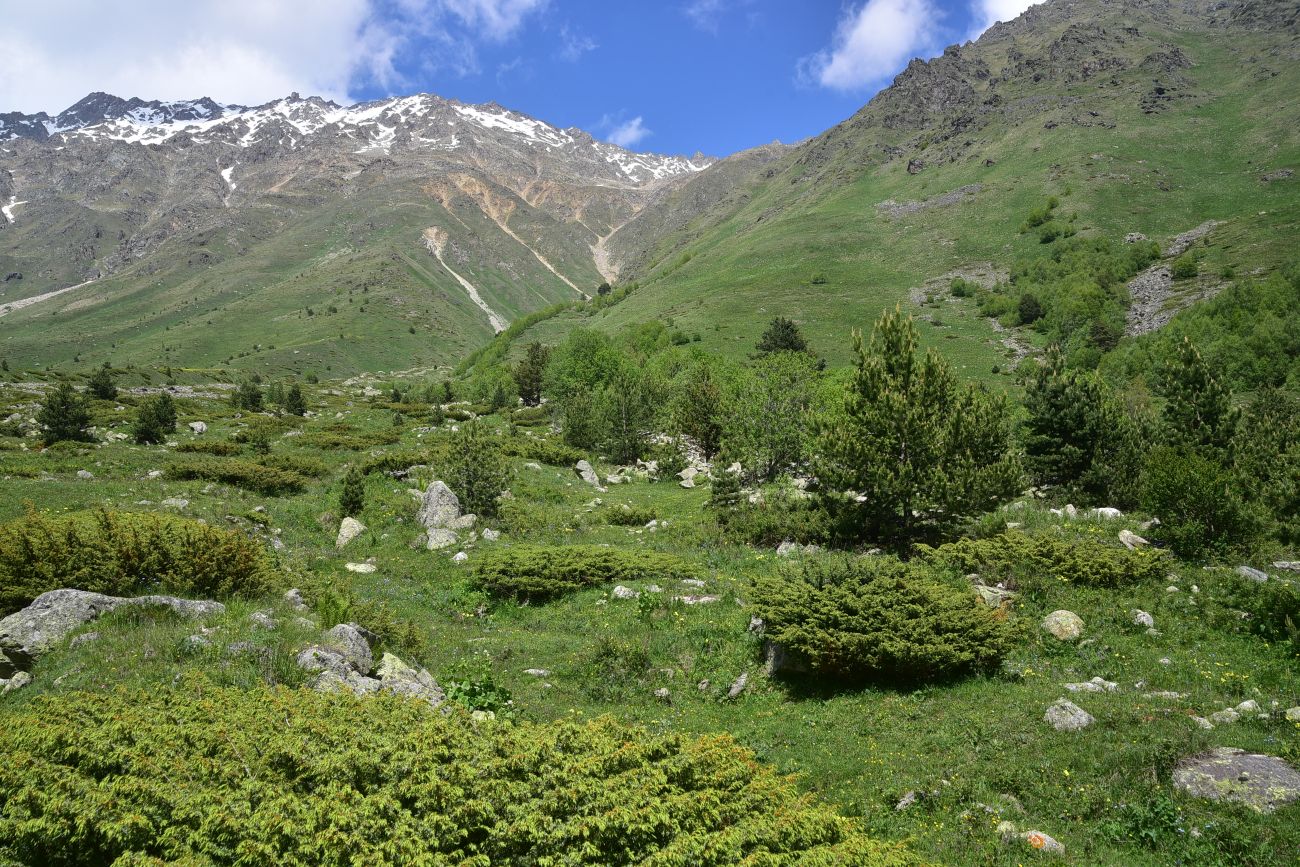 Долина реки Терскол, image of landscape/habitat.