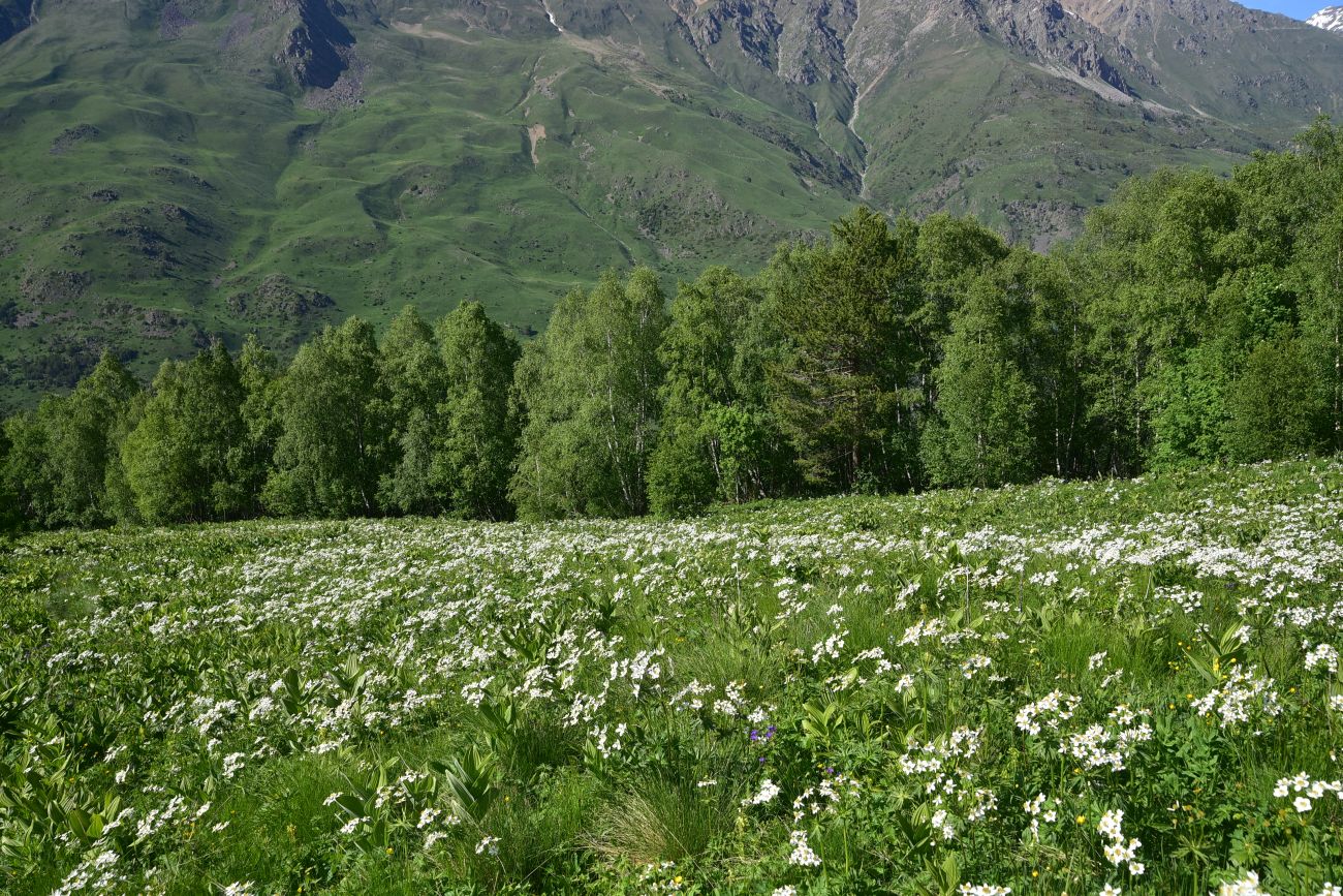 Река Когутайка, image of landscape/habitat.