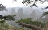Национальный парк "Чжанцзяцзе", image of landscape/habitat.