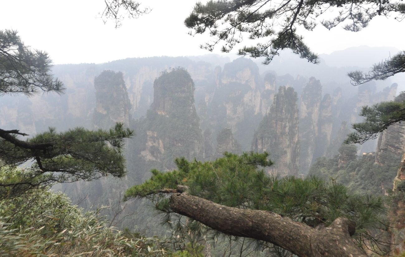 Национальный парк "Чжанцзяцзе", image of landscape/habitat.