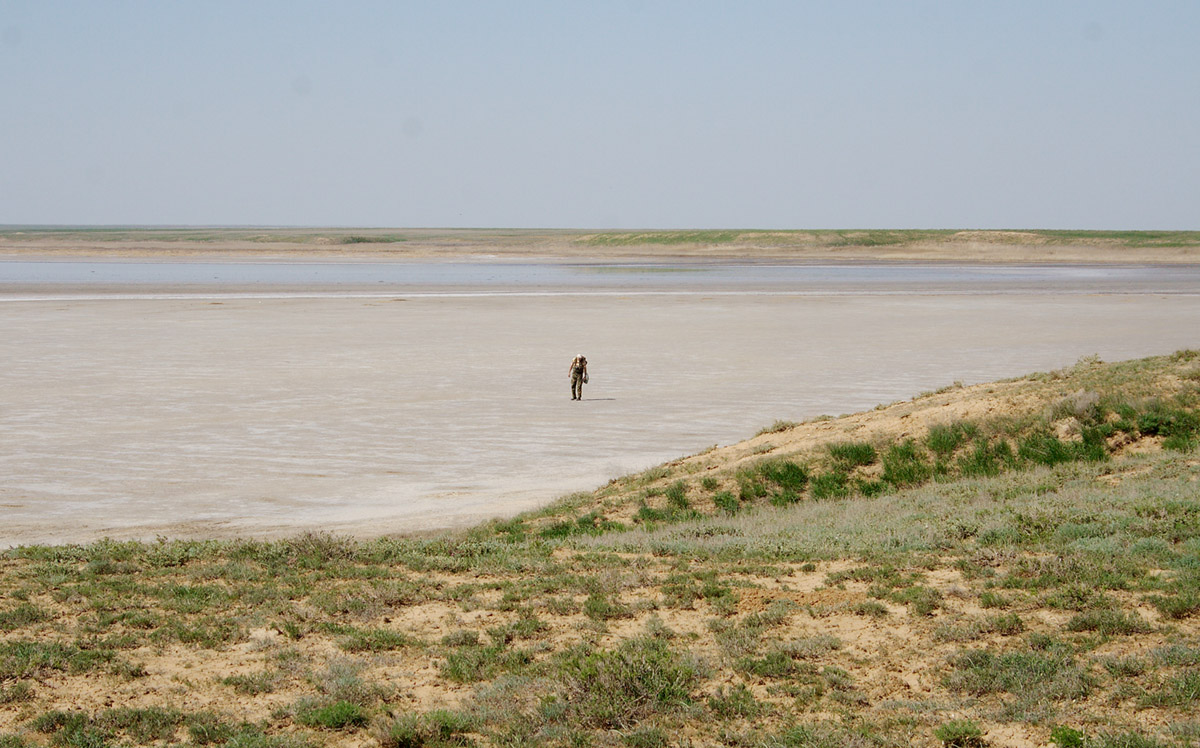 Эльтон, image of landscape/habitat.