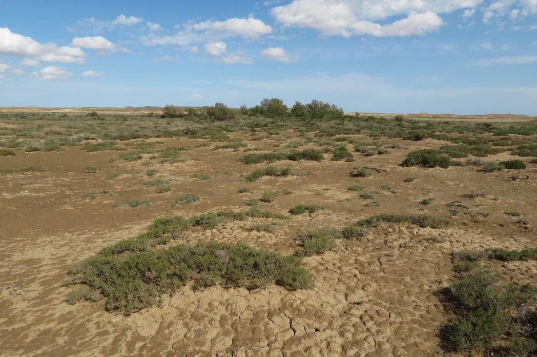 Граниты севернее залива Актас, image of landscape/habitat.