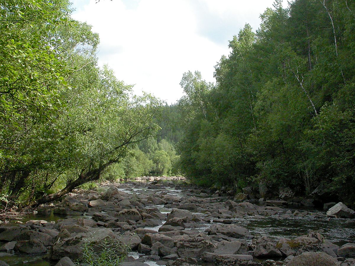 Никишиха, image of landscape/habitat.