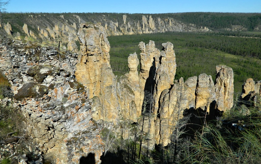 Река Синяя, image of landscape/habitat.