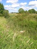 Ильд в Некоузе, image of landscape/habitat.