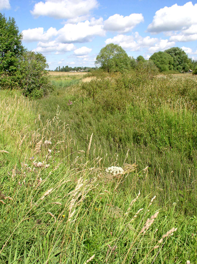 Ильд в Некоузе, image of landscape/habitat.