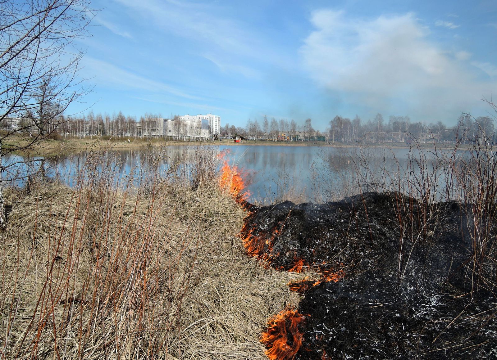 Стахановское озеро, image of landscape/habitat.