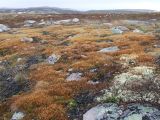 Image of landscape
