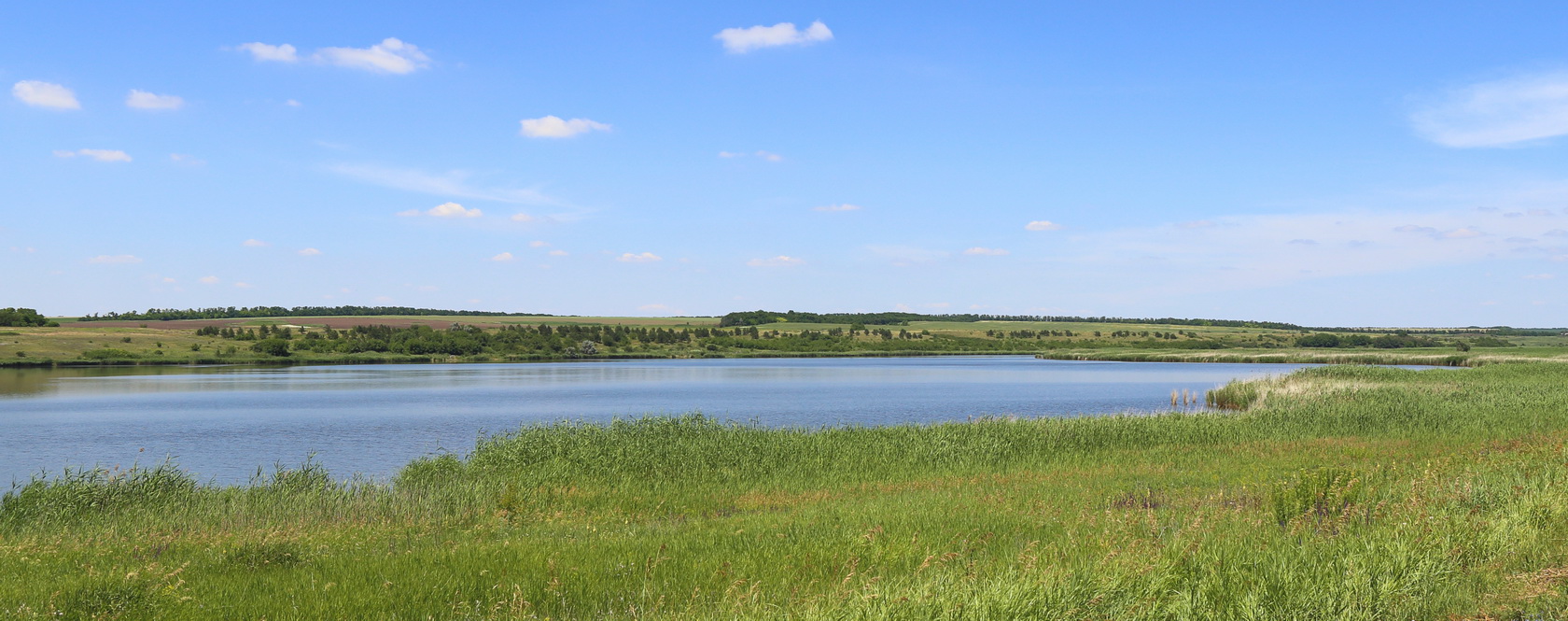 Долина реки Мокрый Самбек, image of landscape/habitat.