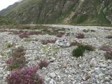 Image of landscape