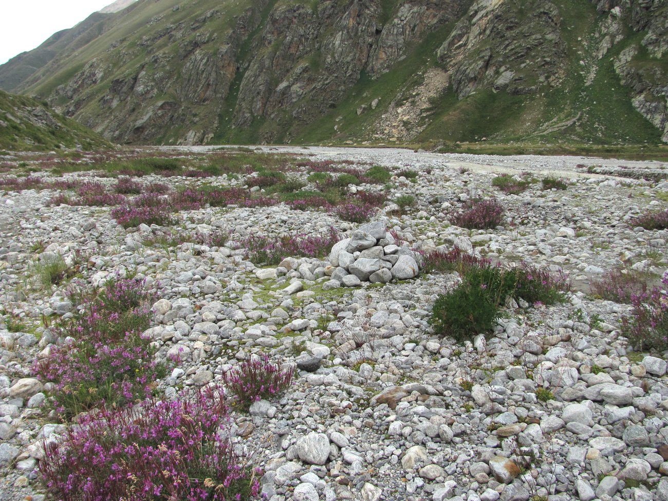 Бассейн реки Адылсу, image of landscape/habitat.