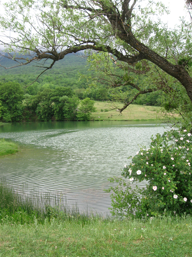 Гора Бойко, image of landscape/habitat.