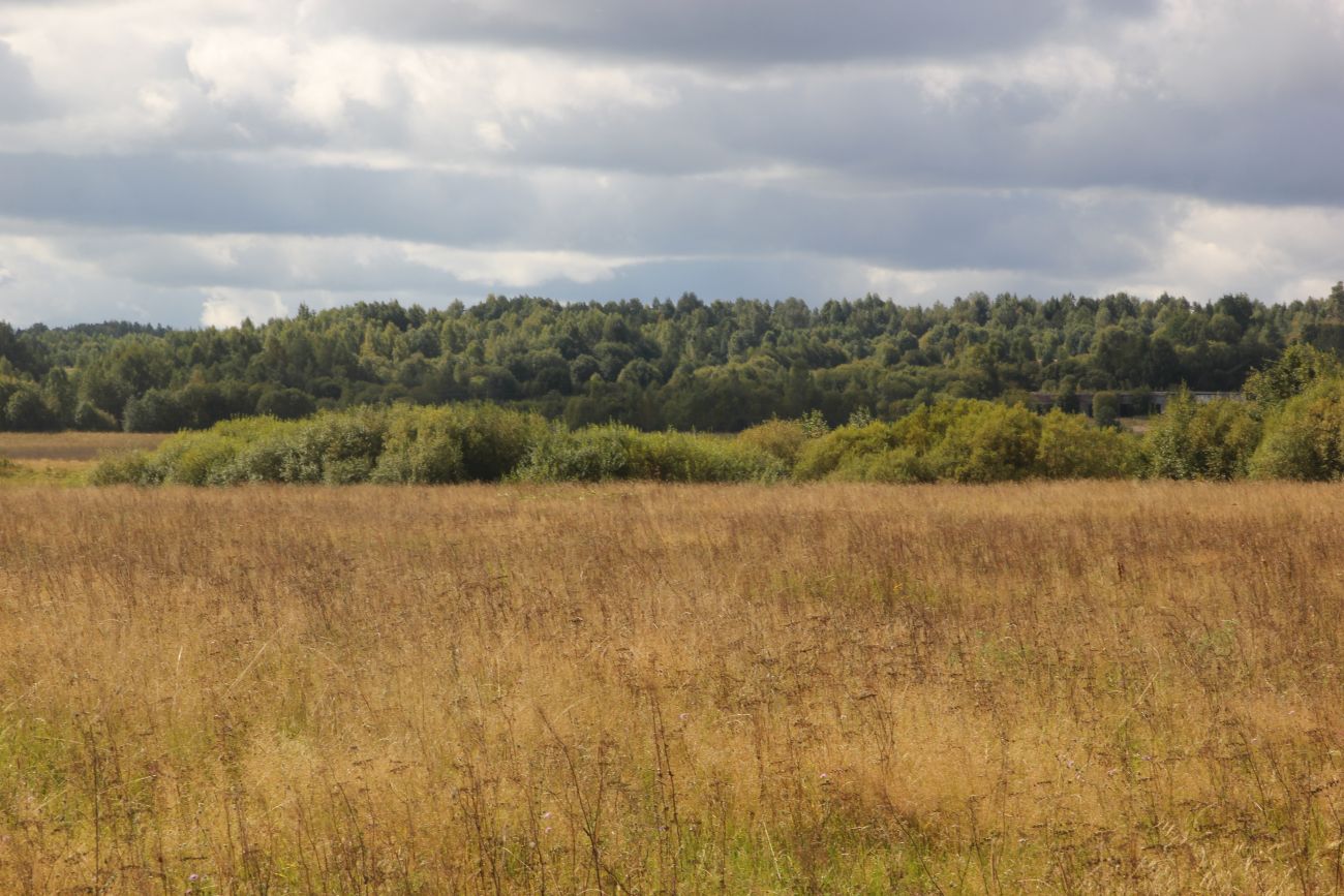 Кологривская пойма, image of landscape/habitat.