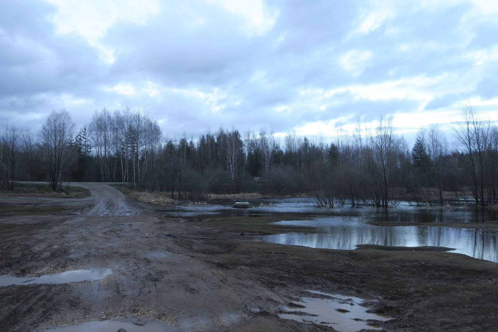 Гаврино, image of landscape/habitat.