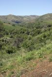 Image of landscape
