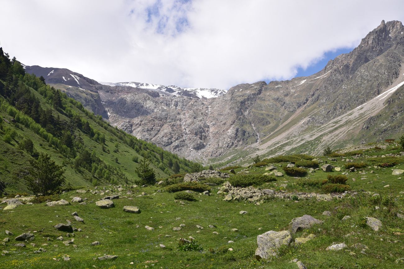 Долина реки Терскол, image of landscape/habitat.
