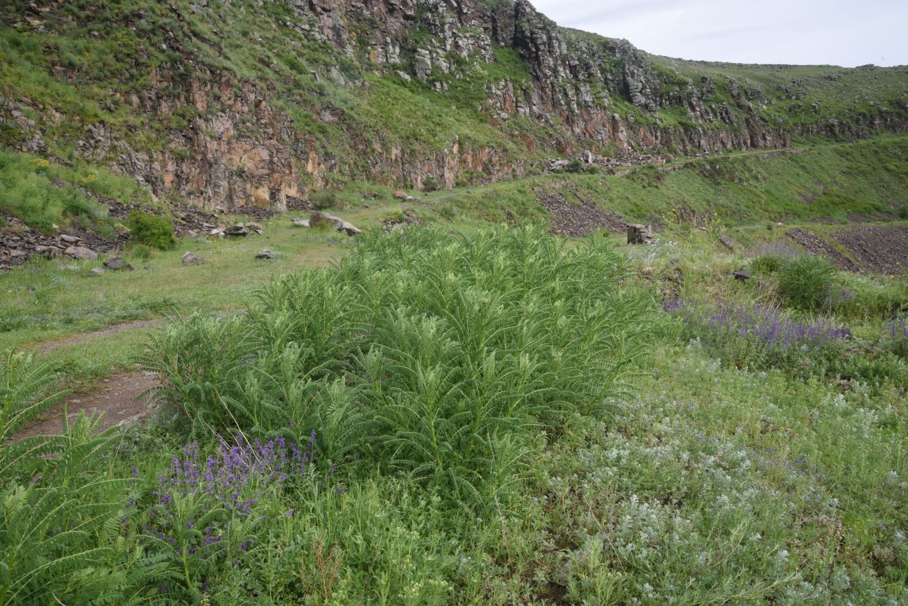 Пороховой склад, изображение ландшафта.