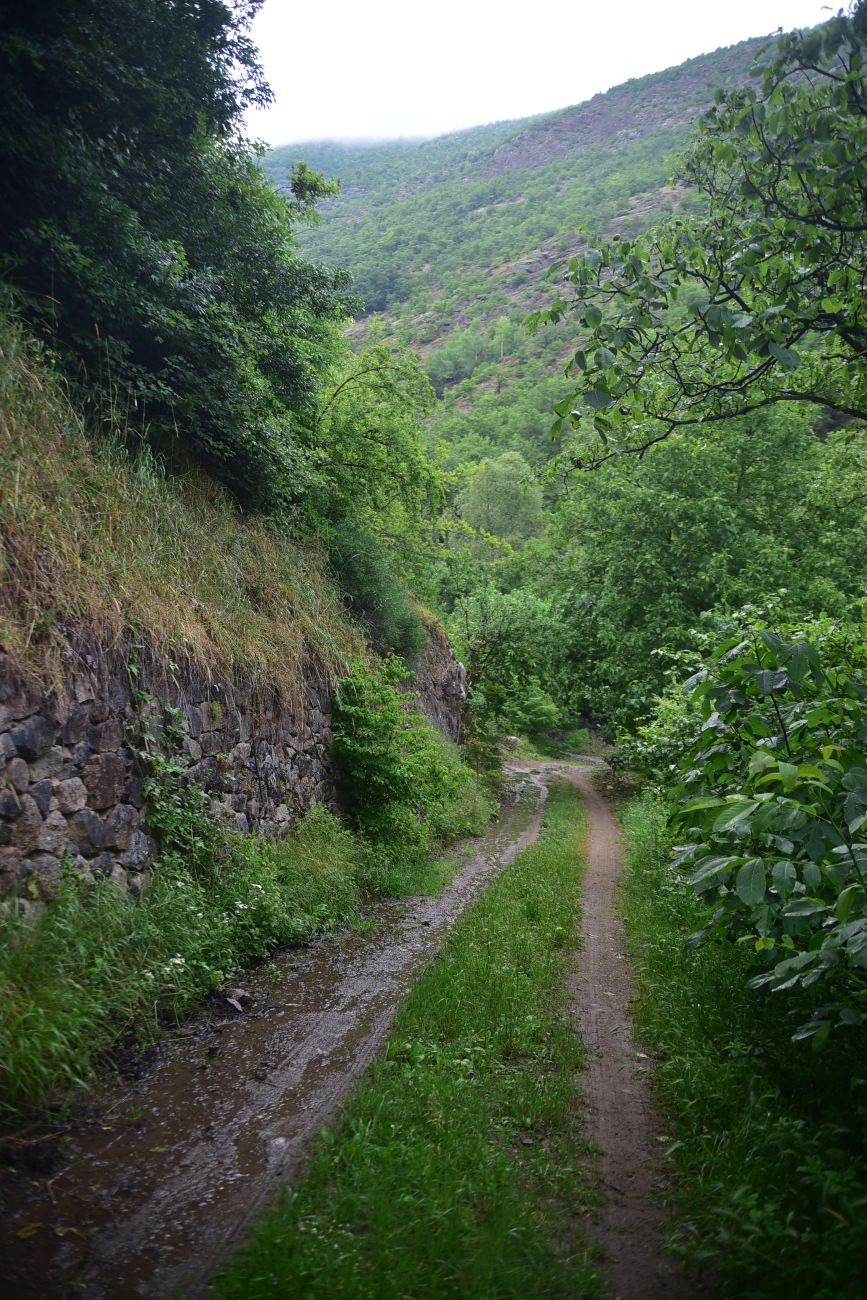 Окрестности монастыря Опиза, image of landscape/habitat.
