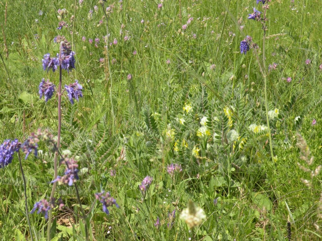 Верховья реки Самоткань, image of landscape/habitat.