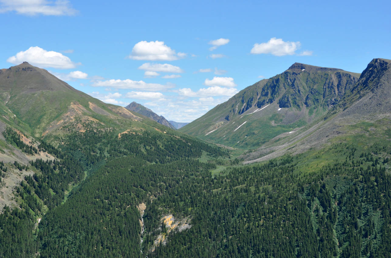 Перевал Чойган-Дабан, image of landscape/habitat.