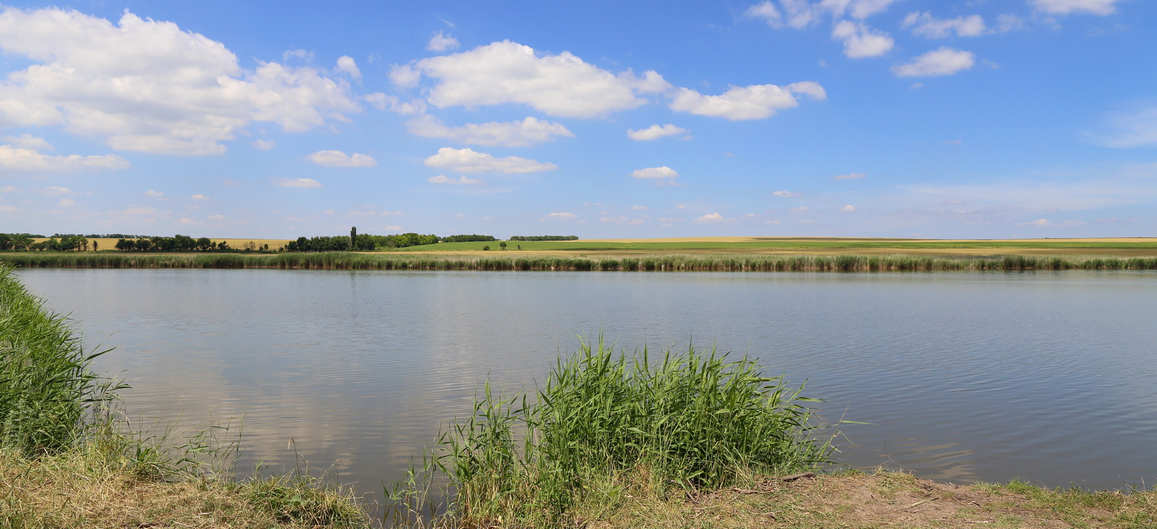 Долина реки Сухой Самбек, image of landscape/habitat.