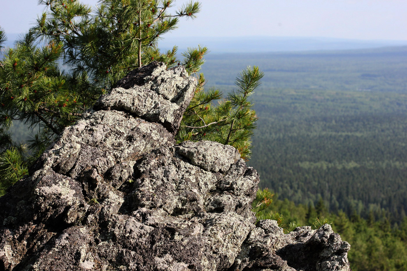 Гора Колпаки, image of landscape/habitat.