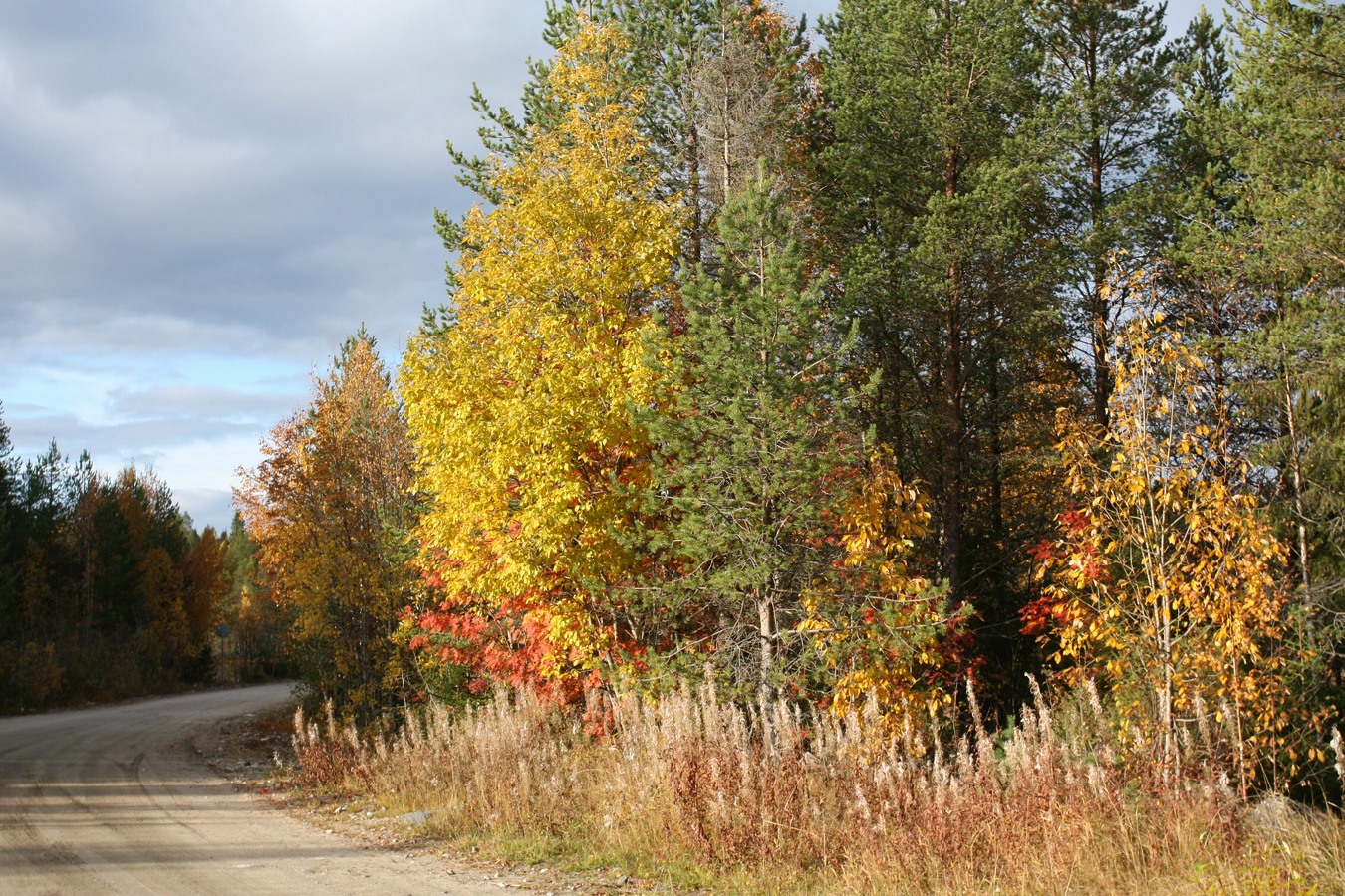 Ковда, image of landscape/habitat.