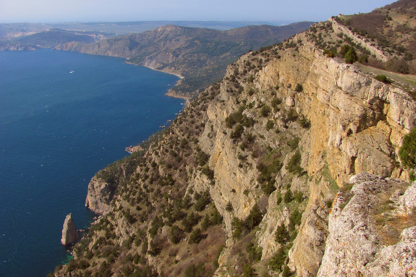Биллер, image of landscape/habitat.