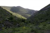 Image of landscape