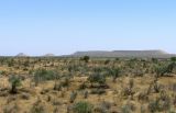 Image of landscape