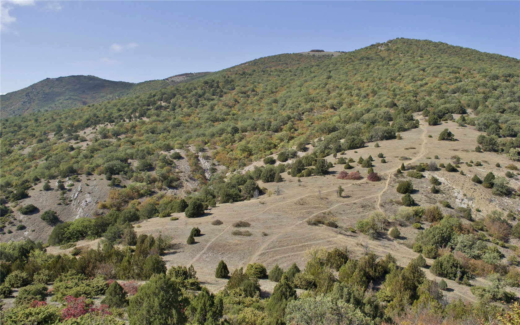 Перчем, image of landscape/habitat.