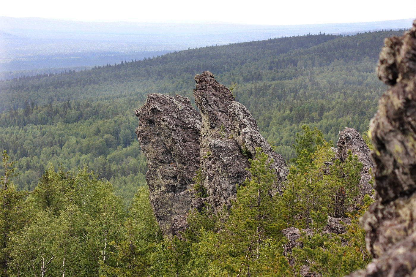 Гора Колпаки, image of landscape/habitat.