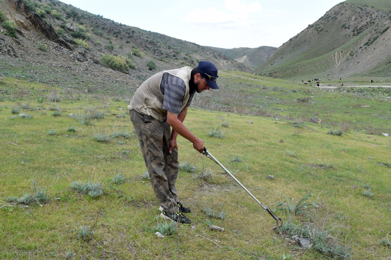 Низовье реки Сувлисай, image of landscape/habitat.